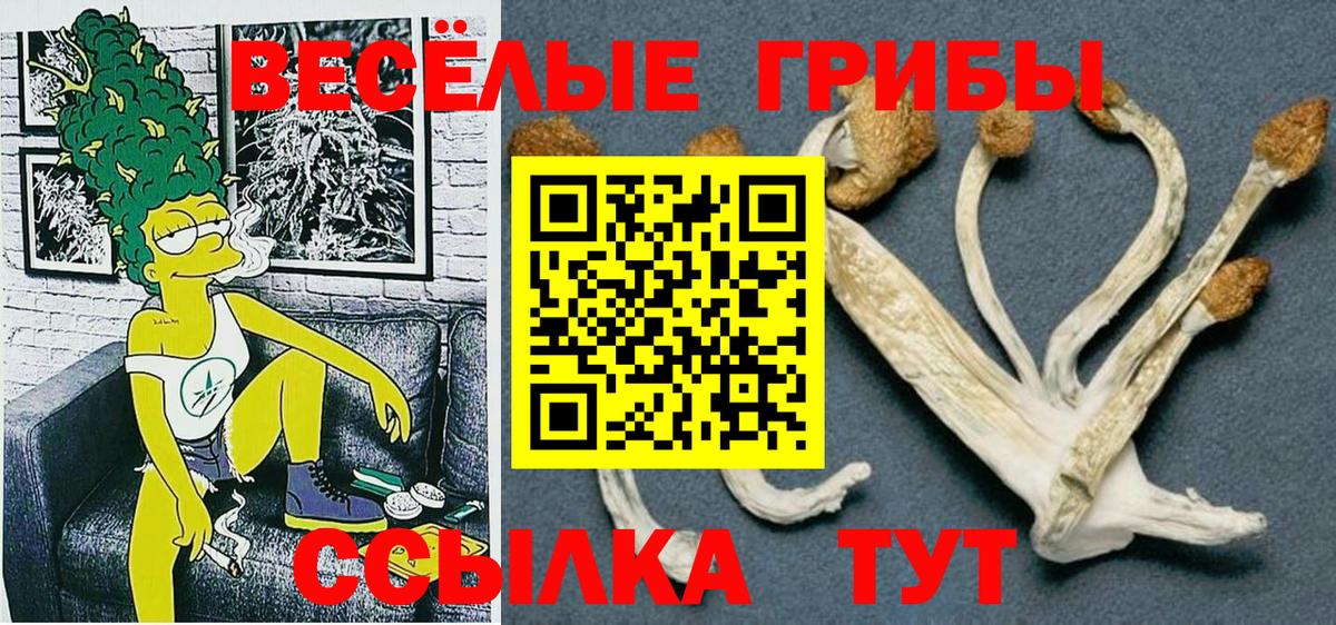 Псилоцибиновые грибы Cubensis Армавир